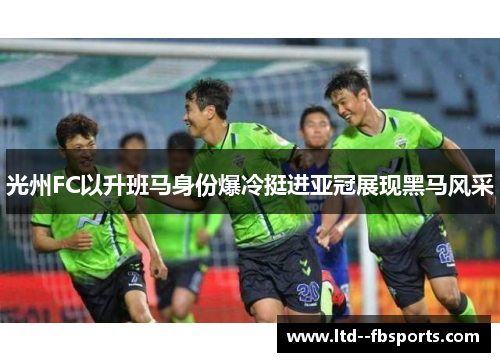 光州FC以升班马身份爆冷挺进亚冠展现黑马风采